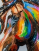 Multicolored Equine