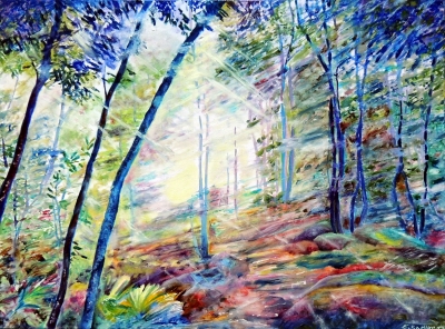  Forest Sunrise