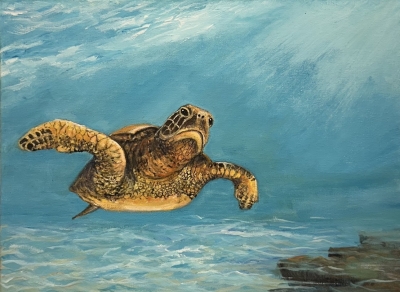 Turtle