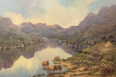 Highland Cows