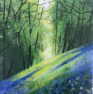 Seasons - Spring light across bluebell bank