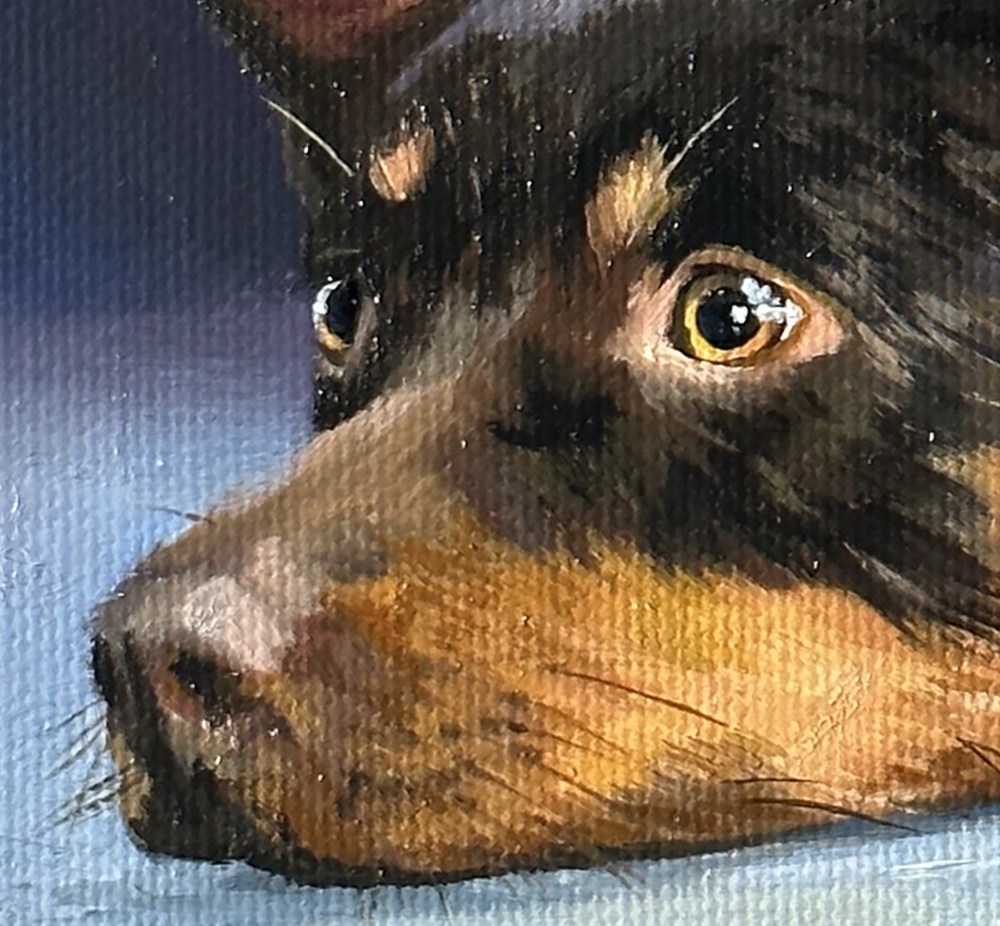 Miniature \"English Toy Terrier\"