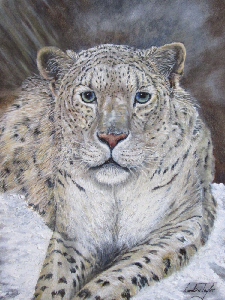 Snow Leopard  Original painting 