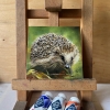 Miniature “Hedgehog”