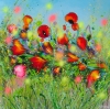 Spring Poppies