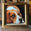 Miniature \"Beagle's look\"