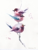 Pink motifs. Birds