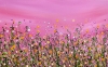 Blushing Confetti Meadows #4