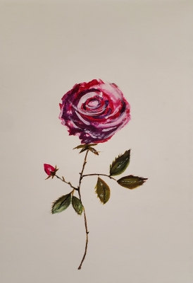 Rose