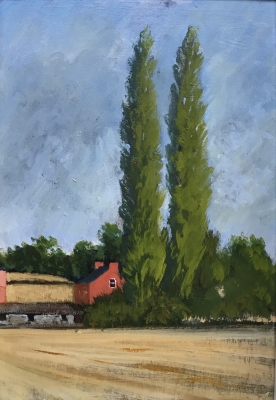 Poplar trees