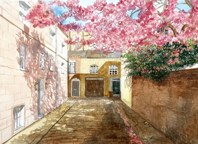 MARYLEBONE MEWS IN SPRING 