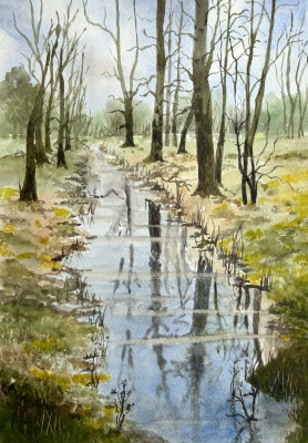 THE STREAM 