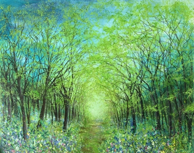 Bluebell Pathway Lancashire 