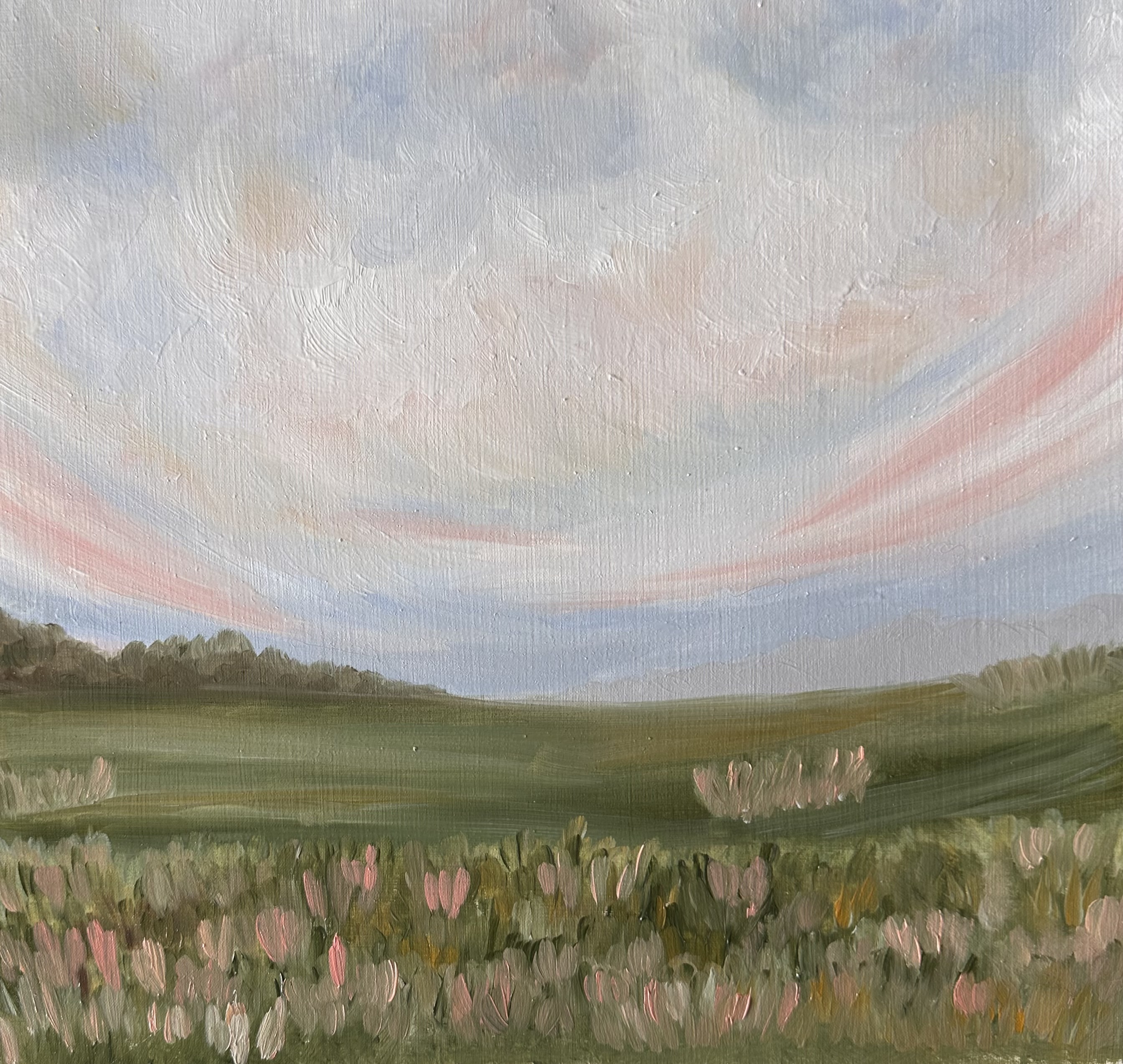 Sweeping skies in wildflower fields