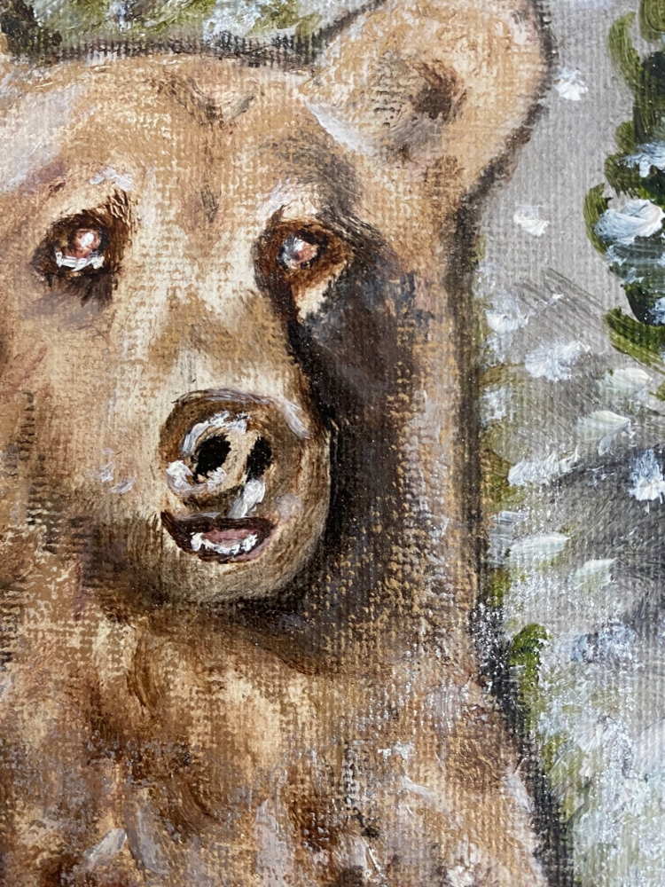 Bear’ Self Portrait