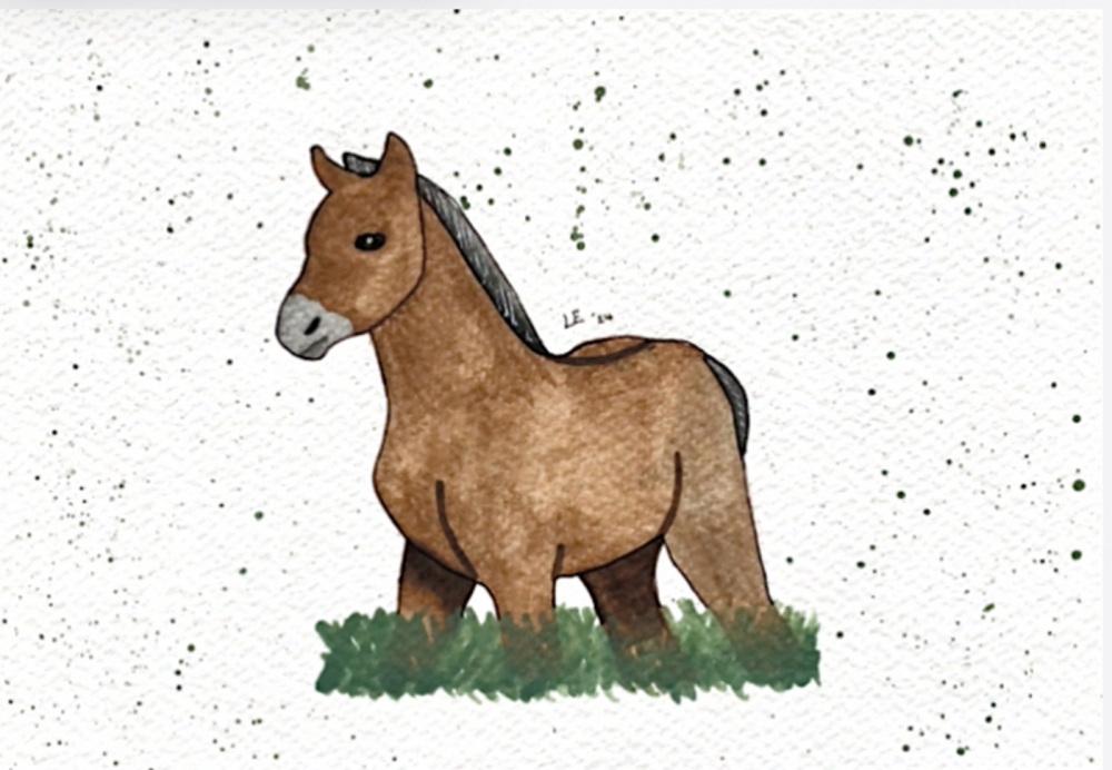 Exmoor Foal Original Watercolour Painting