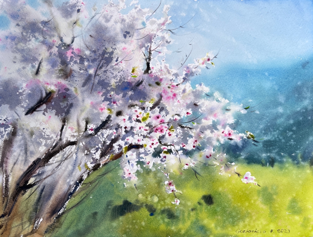 Blooming almond tree