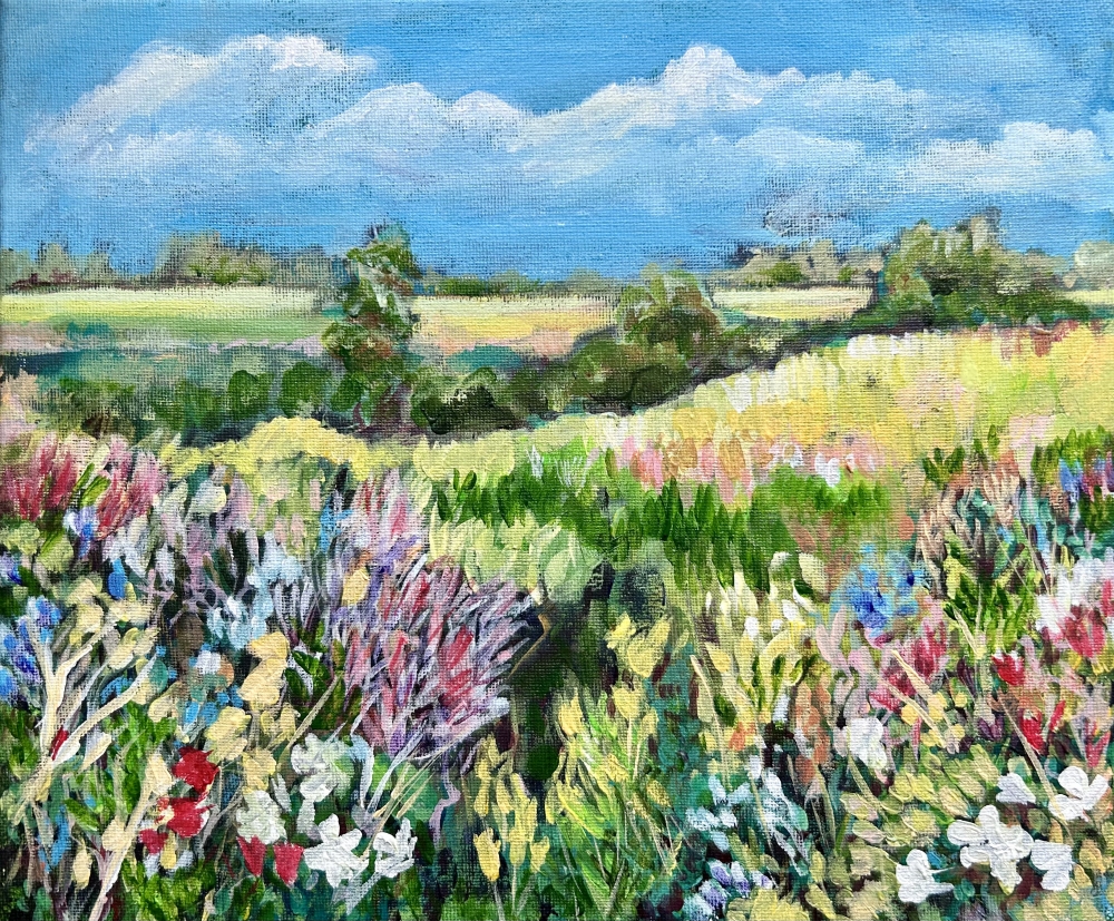 Summer landscape