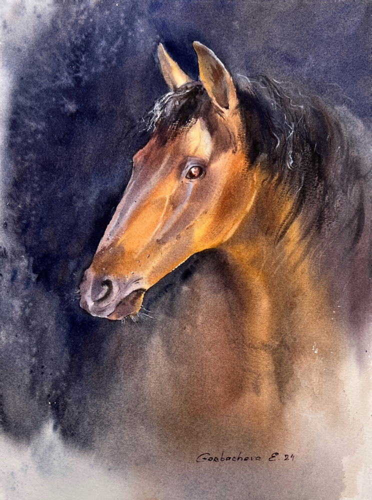 Horse portrait #2