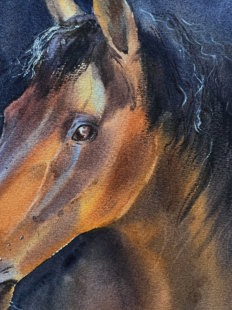 Horse portrait #2