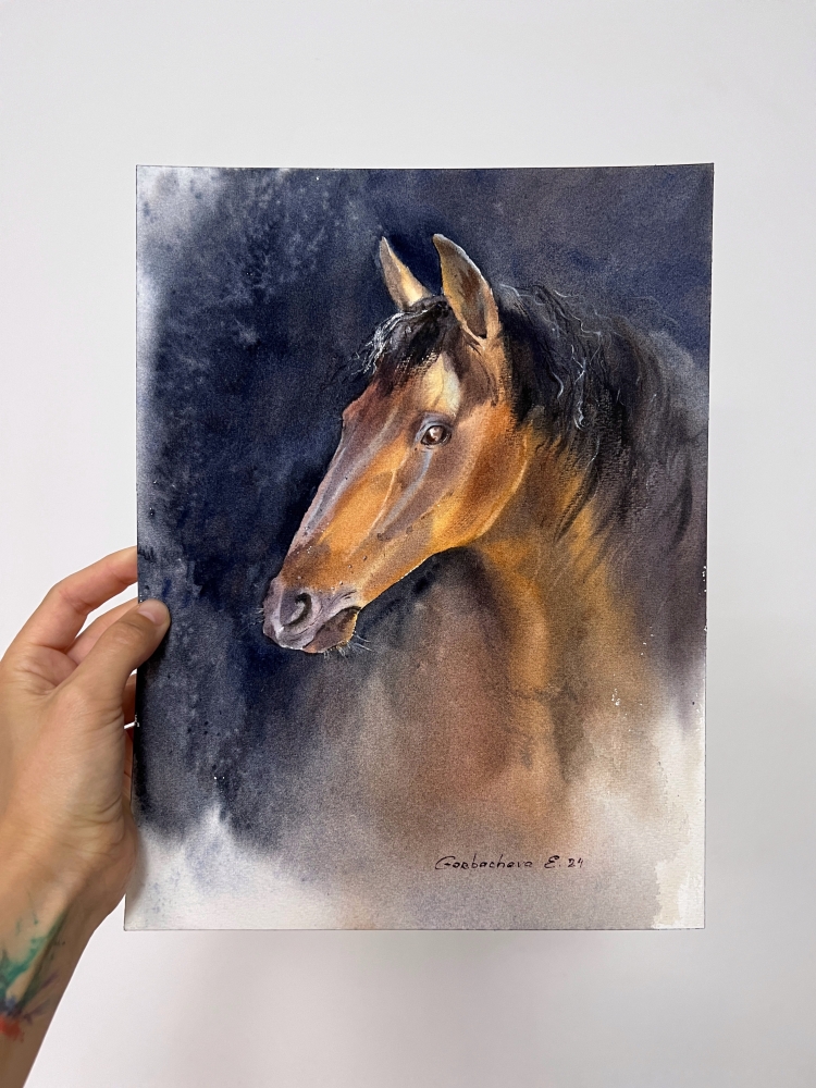 Horse portrait #2