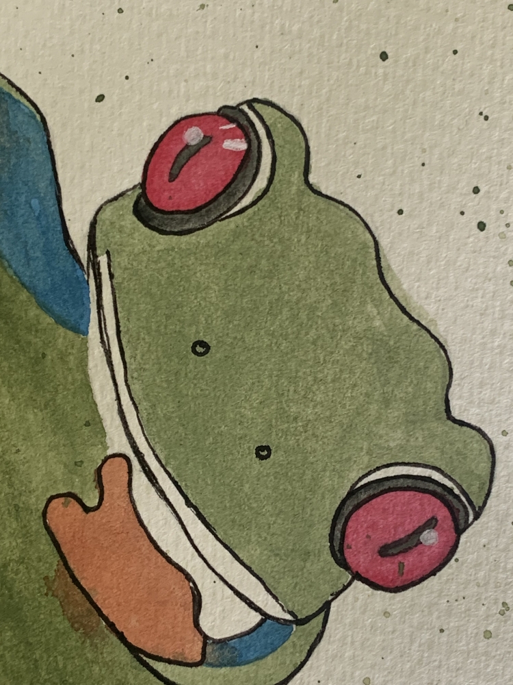 Red Eye Tree Frog Original Watercolour Painting