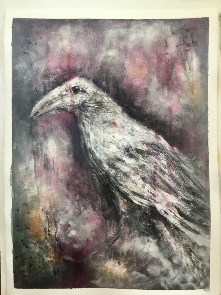 White raven