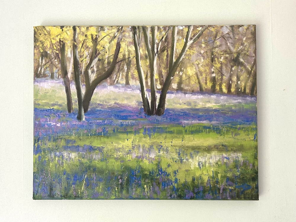 Spring Bluebells