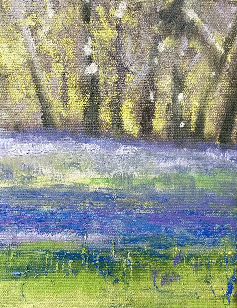 Spring Bluebells