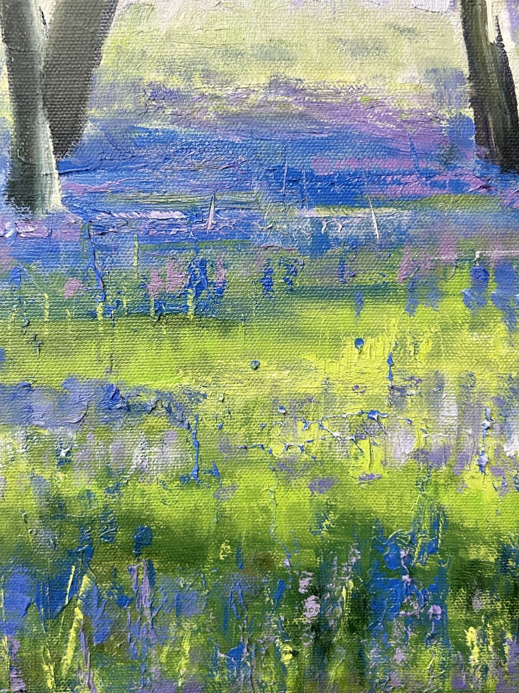 Spring Bluebells