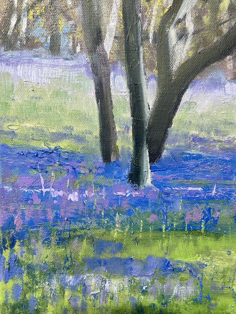 Spring Bluebells