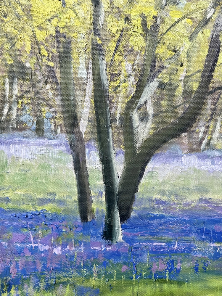 Spring Bluebells