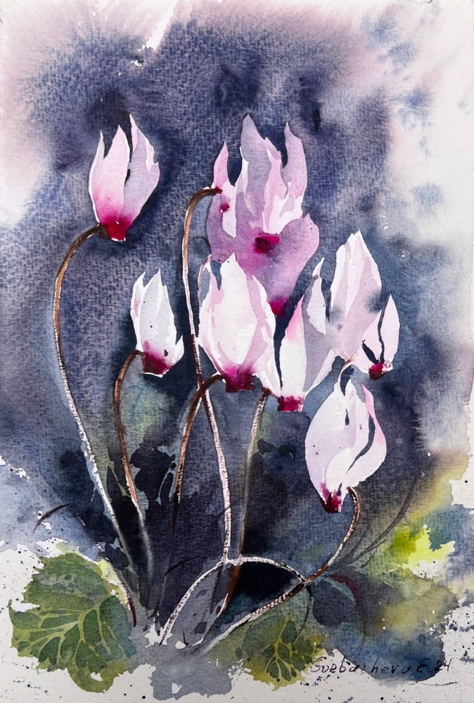 Cyclamen #2