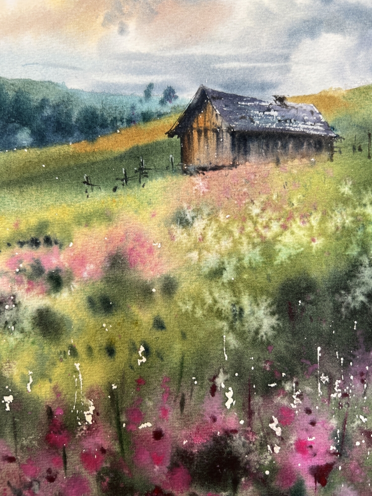 House on the flower field