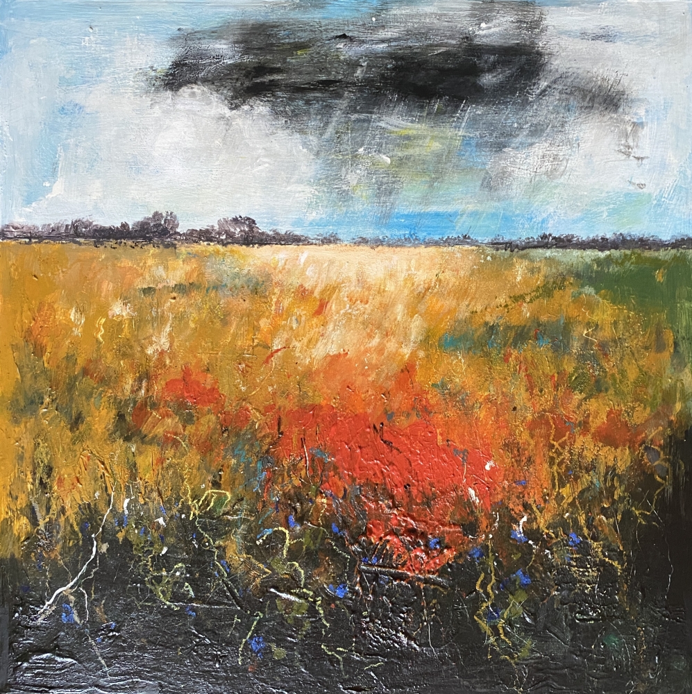 Orange Field blue cornflowers stormy sky framed