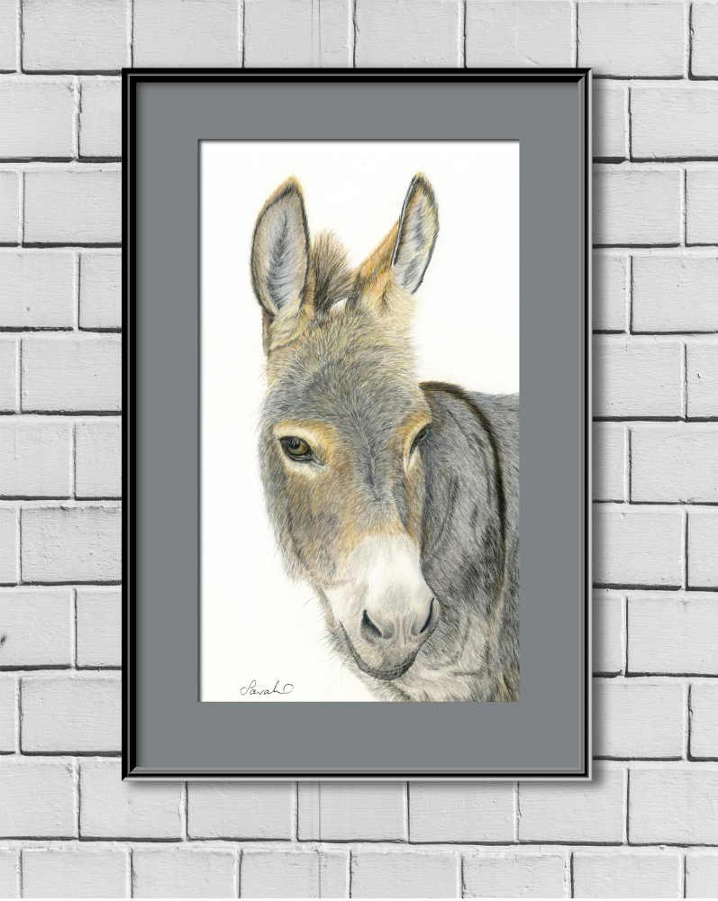 Donkey Portrait