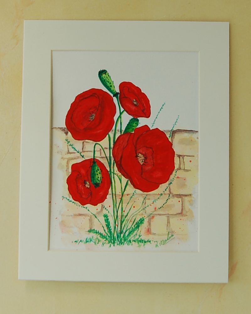 Poppies