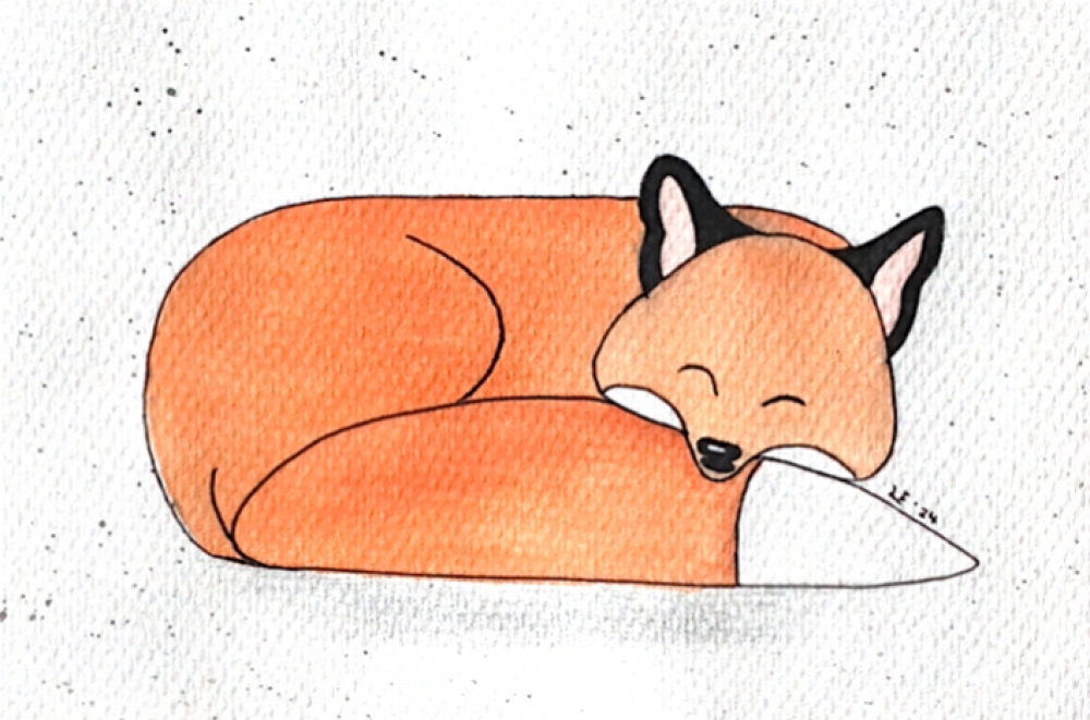 Sleeping Fox Original Watercolour Painting