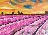 Lavender Fields