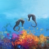 Two Long snout Seahorses in the Reef