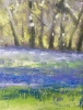 Spring Bluebells