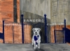 Our Rangers Rocky