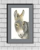 Donkey Portrait