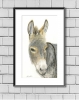 Donkey Portrait