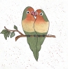 Two Lovebirds Original Watercolour Painting