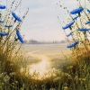 Wildflowers path - cornflower landscape