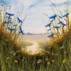 Wildflowers path - cornflower landscape