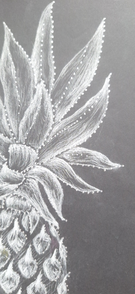 Pineapple Dream white sketch on black 