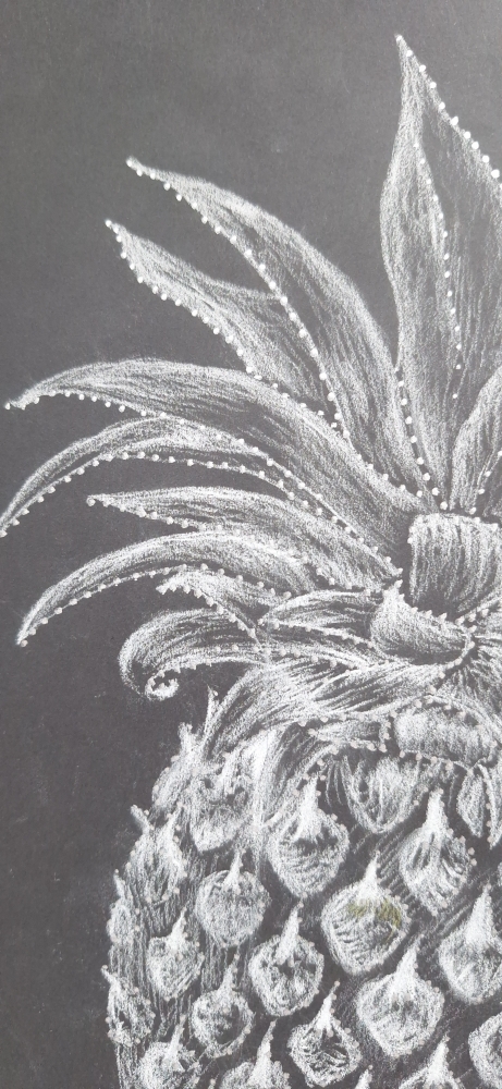 Pineapple Dream white sketch on black 