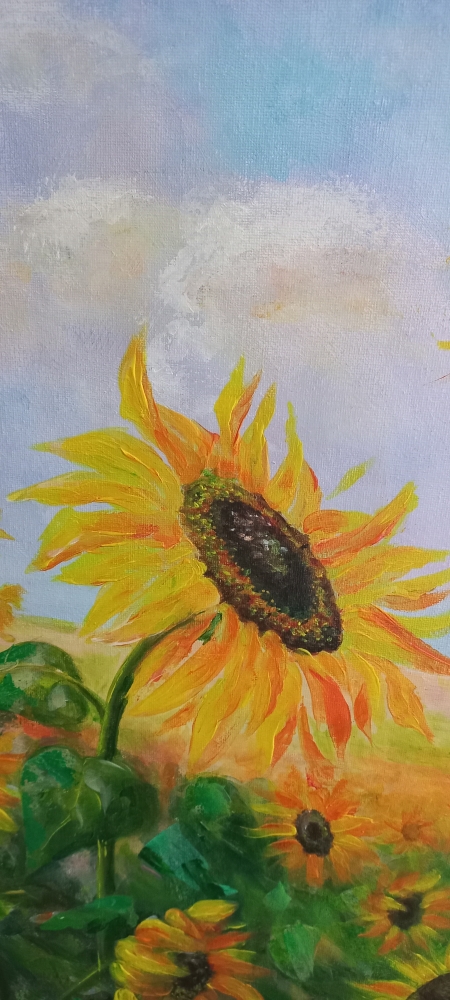 Sunflowers